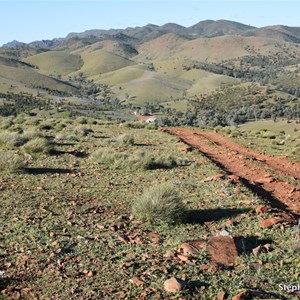 Homestead Lookout