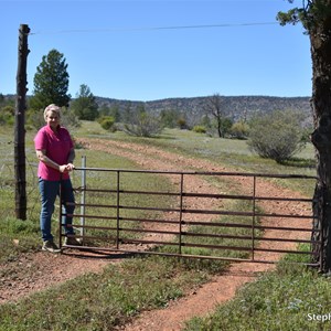 Arkapena Track Gate