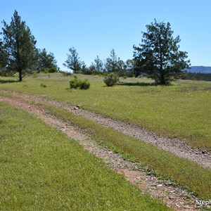 Arkapena Track Gate