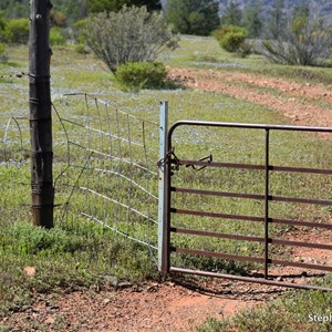 Arkapena Track Gate