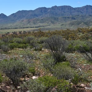 Northern Elder Range Lookout