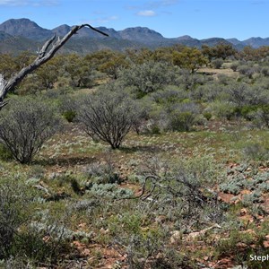 Northern Elder Range Lookout