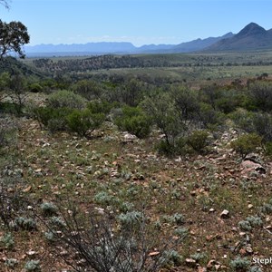 Northern Elder Range Lookout
