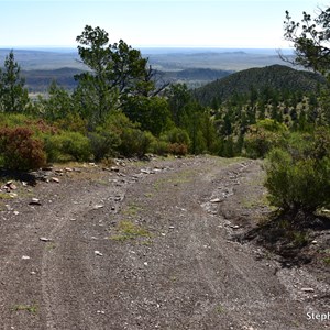 Slip's Lookout