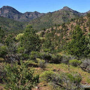 Slip's Lookout