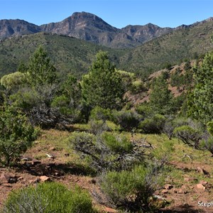 Slip's Lookout