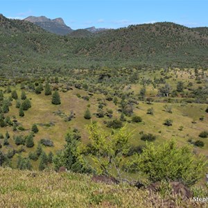 Cooee Crest Lookout