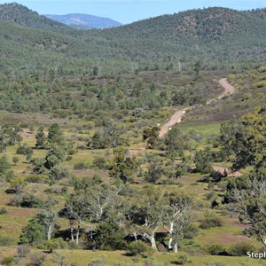 Cooee Crest Lookout