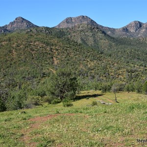 Cooee Crest Lookout