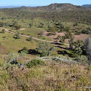 Cooee Crest Lookout