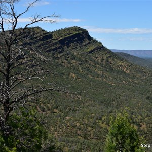 Elsie's Lookout