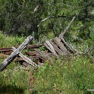 Old Cellar/Dugout