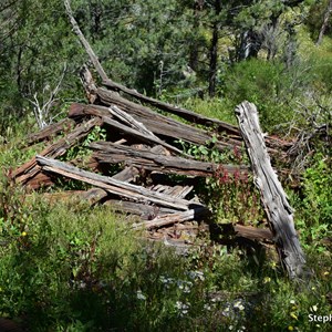 Old Cellar/Dugout