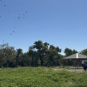 Eddie "Jolly" Miller Rest Area