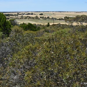 Meningie Lookout