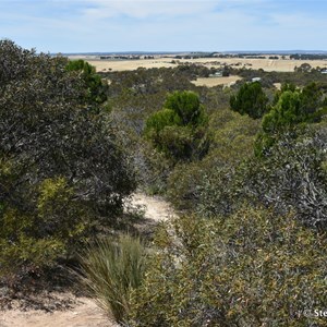 Meningie Lookout