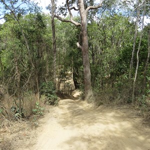 Down to the Wenlock steep and dusty