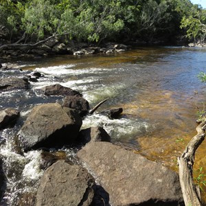 Pascoe River Aug 2016