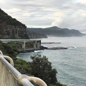 Coledale Beach Camping Reserve