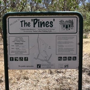 The Pines Conservation Reserve 