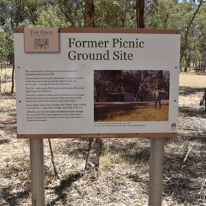The Pines Conservation Reserve 