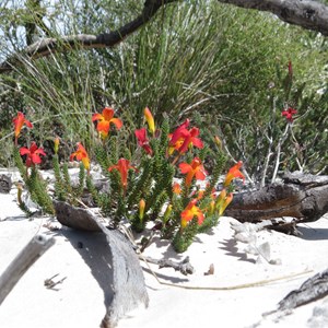 Sand dune surprise