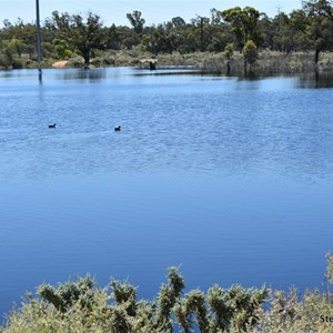 Gurra Gurra Wetlands Information Booth 