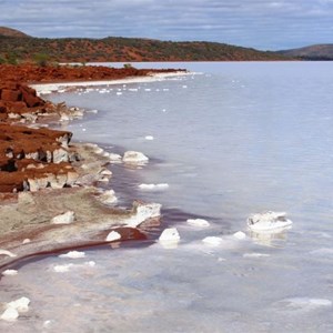 The salt encrusted shore of Lake Gairdner