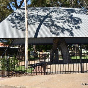 Old Gum Tree