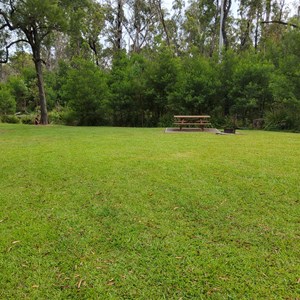Chaelundi Campground
