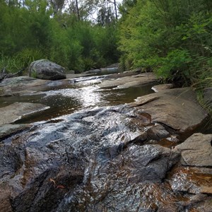 Chaelundi Campground