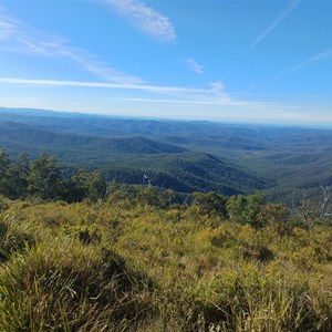 Mt. Hyland Lookout