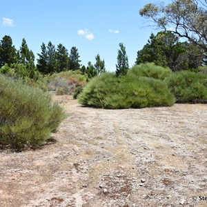 Mowantjie Willauwar Conservation Park