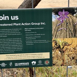 Mowantjie Willauwar Conservation Park