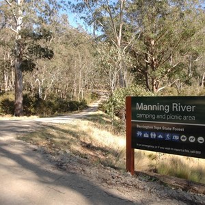 Manning River Free campsite