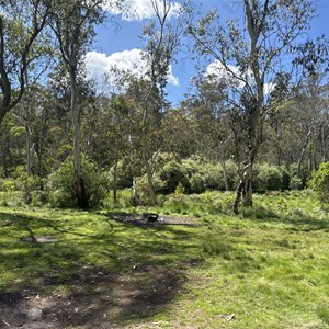 Manning River Camping and Picnic Area