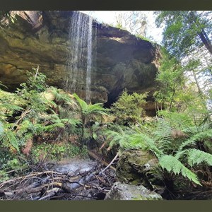 Pheasants cave and chinamans hat walk