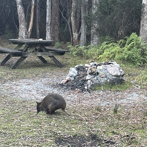 Edgar Dam Campground