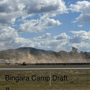 Bingara Free Camp