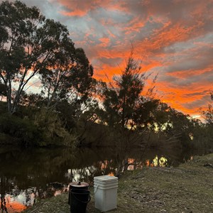 Bingara Free Camp