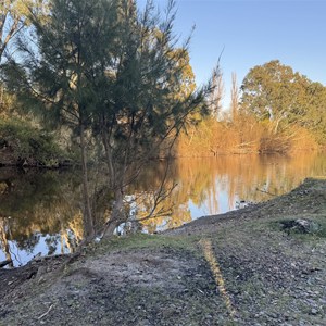Bingara Free Camp