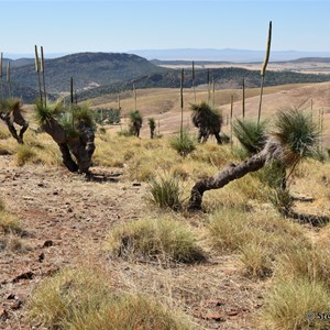 Stretch Memorial and Lookout