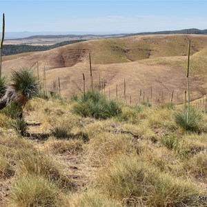 Stretch Memorial and Lookout