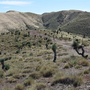 Stretch Memorial and Lookout