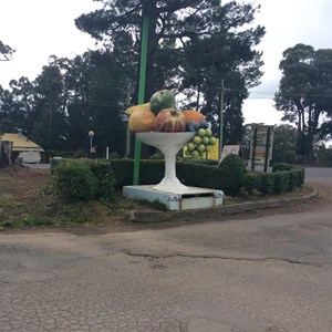 Bilpin Fruit Bowl