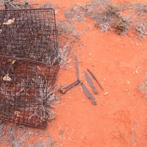 Old Tallaringa Camp