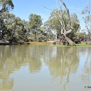 Deep Creek - Murray River