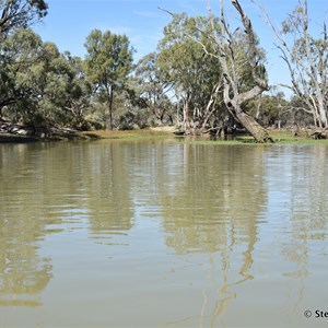 Deep Creek - Murray River