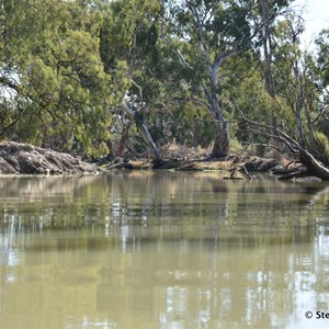 Deep Creek - Murray River