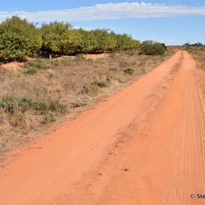 Higgins Cutting Track Turn Off 